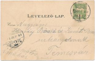 Versec, Vrsac; Ferenc József tér, piac, Wilhelm Wettl 9441. / Franz-Joseph-Platz / square, market, l...