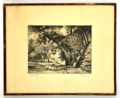 Remsey Jenő (1885-1970): Erdei út. Rézkarc, papír, jelzett, üvegezett keretben, 21×29 cm