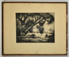 Remsey Jenő (1885-1970): Halász. Rézkarc, papír, jelzett, üvegezett keretben, 23×29 cm