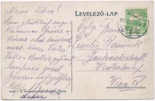 Újvidék, Novi Sad; Duna utca, villamos, Cortán és Donáti üzlete, Singer József udvari fényképész üzl...