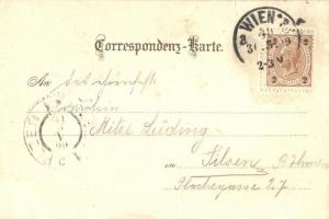 1899 Wien, Vienna, Bécs; Graben, E.B & G.i.B. floral, Art Nouveau litho