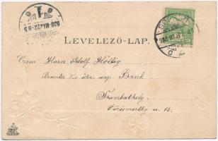 Sopron, Oedenburg; Deák tér, lóherés Emb. Art Nouveau litho keret