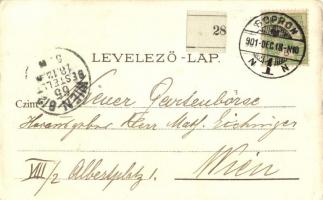 1901 Sopron, Oedenburg; Várostorony, Színház tér. L. F. Kummert Nr. 6201. litho s: Götzinger (EK)