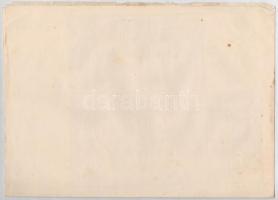 Szeged 1928. "Szegedi-Csongrádi Takarékpénztár" névre szóló részvénye 100P-ről, szárazpecs...