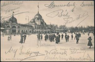 cca 1913 Magyar korcsolya bajnok Manno Miltiades és más Városligeti korcsolyázók saját kezűleg aláírt, jégpályát ábrázoló képeslapja.