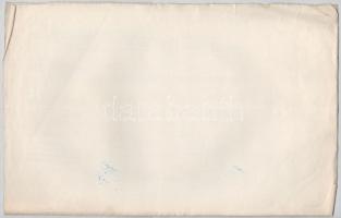 Budapest 1907. "Temesvár-Varjasi Helyi Érdekű Vasut Részvény-Társaság" törzsrészvénye 200K...