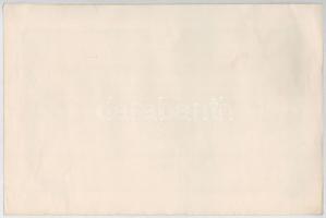 Budapest 1928. "Magyar Nemzeti Gazdasági Bank Rt." részvénye 20P-ről, szárazpecséttel, sze...