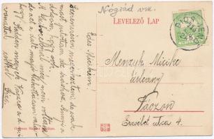 Diósjenő, Izraelita (zsidó) szünidei gyermektelep, utcakép, Germány Sándor üzlete és kiadása