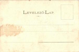 Győr-Révfalu, Prankl Károly utódának fakereskedése és fűrésztelepe. Berecz Viktor kiadása  (fl)