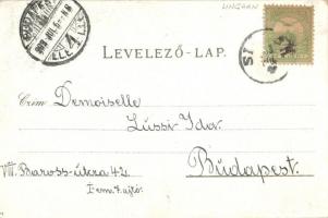 1903 Siófok, Hajókikötő, Baross gőzös, gőzhajó. Kiadja Reich Farkas