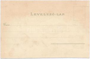 1895 (Vorläufer!) Siófok, szálloda és étterem, park és sétány, fürdőzők. Freund Mór kiadása. floral,...