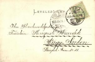 Pápa, Vasúti úti villák