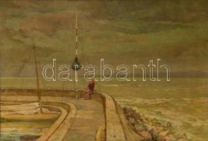 Basch Árpád (1873-1944): Őszi vihar a siófoki kikötőben. Olaj, vászon, jelzett, blondel kereteben, 40×58 cm