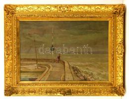 Basch Árpád (1873-1944): Őszi vihar a siófoki kikötőben. Olaj, vászon, jelzett, blondel kereteben, 4...