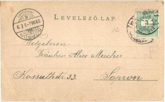 1899 Mosomagyaróvár, Magyaróvár, Ung. Altenburg; Magyar utca, este / Ungargasse. S. Aichinger litho