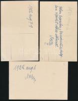 1922 Mikófalva, passiójáték, 11 db fotólap, hátuljukon feliratozva, 9×14 cm