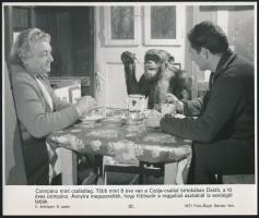 A csimpánz, mint családtag, fotó a Czája családról, MTI sajtófotó, 20x24 cm