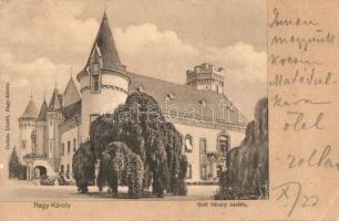 Nagykároly, Carei; Gróf Károlyi kastély / castle (EK)