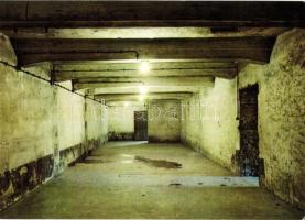 36 db MODERN judaika témájú képeslap, zsinagógák, koncentrációs tábor / 36 modern Judaica postcards,...