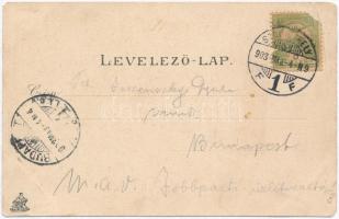 Szombathely, Vármegyeház, Steiner Testvérek kiadása. címeres litho lap (EK)