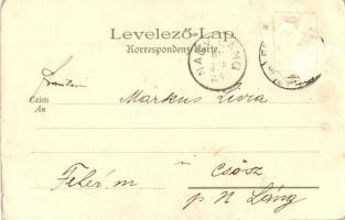 1899 Buziásfürdő, Buzias; Villa / villa, spa, Kunstanstalt Kosmos No. 146. litho (Rb)