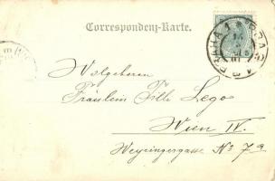 Praha, Prag; Kohlmarkt / market. Handcolorit Nro. 130. (EK)