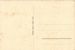 Karlovy Vary, Karlsbad; Brück & Sohn. donkey cart  (fl)