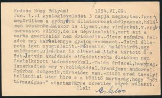 Amerikai Egyesült Államok 1954