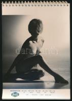 Forte fotópapír mintafüzet 13 db képpel, 17x13 cm