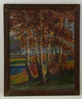 Kárpáthy Jenő (1870-1950): Fasor. Olaj, karton, sérült, jelzett, üvegezett keretben, 57×45 cm