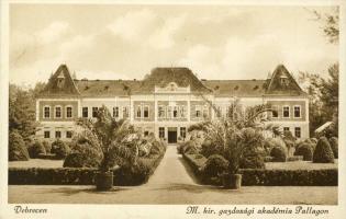 Debrecen gazdasági akadémia