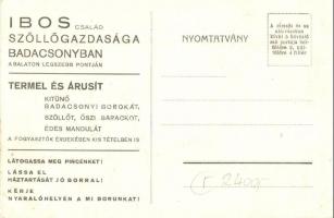 Badacsony, Ibos család szőlőgazdasága, borszállítás, Ibos kúria, látkép, régi pince, öreg présház, a...