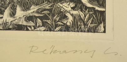 Rékassy Csaba (1937-1989): Vízpart. Rézkarc, papír, jelzett, üvegezett keretben, 19×11 cm