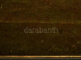 Stein János (1874-1944): Szénaboglya a távolban. Olaj, vászon (piszkos), jelzett, keretben, 16×44 cm