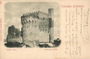 Erdőd, Károlyierdőd, Ardud; vár, Schön Adolf kiadása / castle ruins (EK)