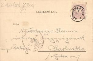 Erdőd, Károlyierdőd, Ardud; vár, Schön Adolf kiadása / castle ruins (EK)