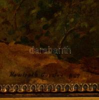 Hawlisch Gusztáv (?-?): Bükk, erdő részlet. Olaj, karton, jelzett, keretben, 28×37 cm