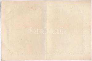 Budapest 1923. "Kékkuti Gyógy- és Ásványvíz Részvénytársaság" részvényutalvány 10.000K-ról...