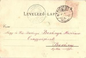 1898 Kaposvár, Vármegyeháza, takarékpénztár, régi gimnázium, új főgimnázium, államvasúti tápintézet,...