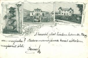 Judendorf, Stefaniewarte, Theresienhof, Curhaus. Verlag V. J. Materleitner / lookout tower, villa, spa, floral, Art Nouveau (tear)