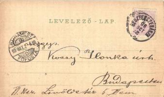 1898 Szliács, Sliac; villák, Schwidernoch Károly / villas, floral, Art Nouveau, litho (EK)