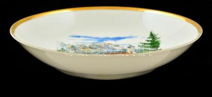 IR Pozellan perzsa-német dísz falitányér, matricás, jelzett, kis kopásnyomokkal, d: 21 cm