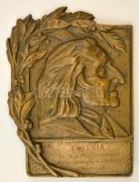 Jelzés nélkül: Liszt Ferenc. Bronz falikép, Emlékül az MMG Fúvószenekartól fúvós- pedagógiai munkája elismeréséül felirattal, 20×15 cm