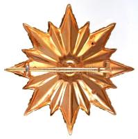 1956. "A Magyar Népköztársaság Zászlórendjének I. fokozata" aranyozott, zománcozott ezüst ...