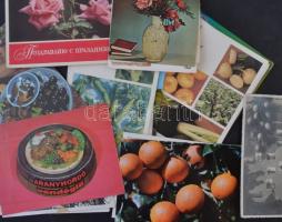 Kb. 100 db MODERN zöldség, gyümölcs, recept, csendélet motívumlapok / Cca. 100 MODERN fruits and vegetables, recipes, still life motive cards