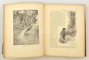 Defoe Dániel: Robinson Crusoe élete és visszontagságai. Átdolgozta Gaal Mózes. Paget Walter rajzaiva...