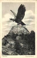 Bánhida - 5 db RÉGI városképes lap, Turul, vegyes minőség / 5 pre-1945 town-view postcards, mixed qu...