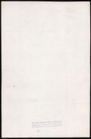 cca 1940-1950 Divatfotó, Walter Krämer München műterméből, hátoldalán pecséttel jelzett, 28x18 cm