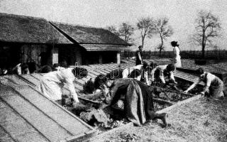 Budapest XIV. Zugló, Egressy út 71. Fővárosi gazdasági és háztartási iskola, palántázó nők (EK)