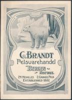 cca 1910 C. Brandt norvég szőrmekereskedés reklámfüzete, 16,5x12 cm / C. Brandt Largest stock of Norwegian furs, advertisement booklet